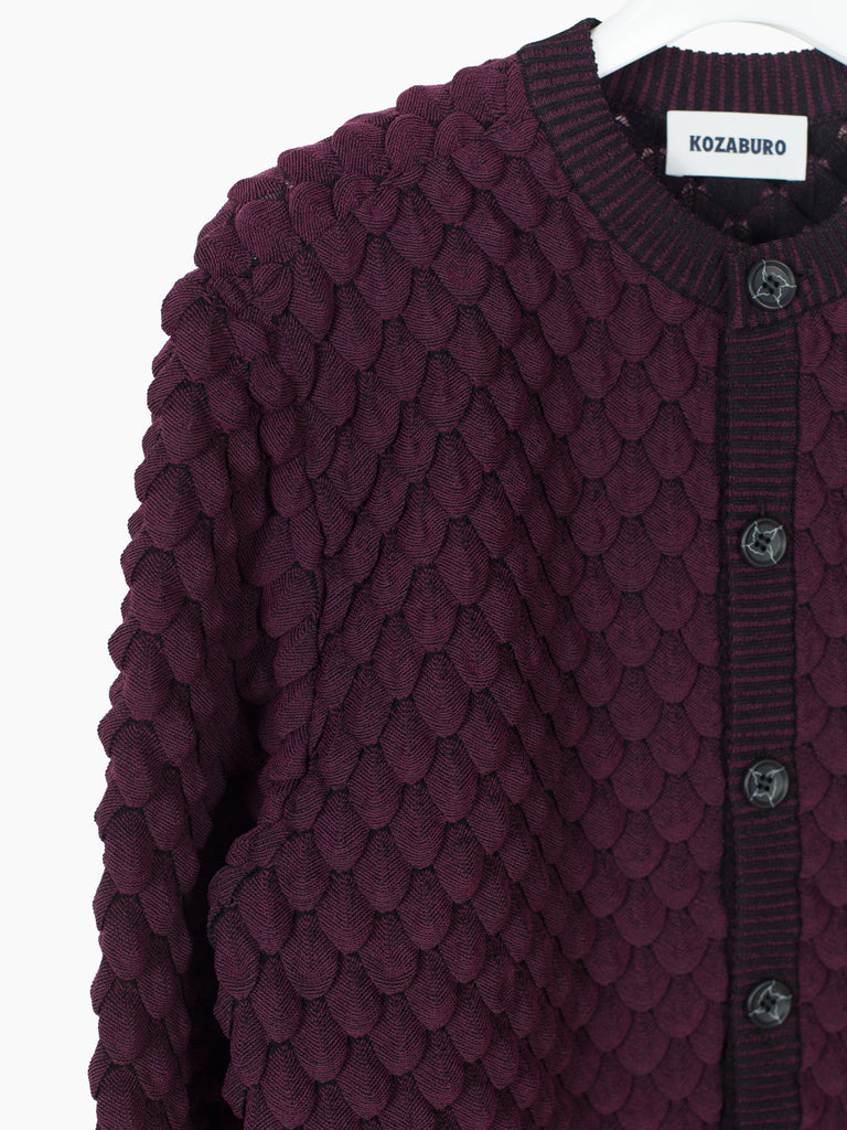 Kozaburo AW23 Scale Knit Button Cardigan – HUIBEN